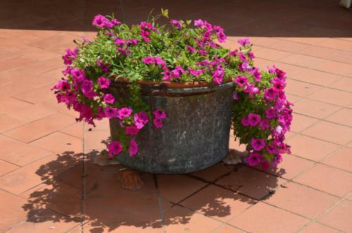 Agroturismo Il Ghetto Farm Holiday