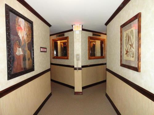 Hotel 31
