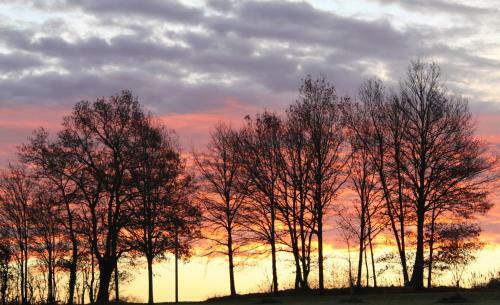G�te � L'ombre Des Ch�nes