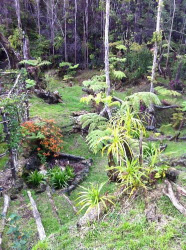 Agroturismo Ixchel Hawaii Volcano
