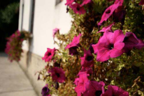 Corte Posta B&B