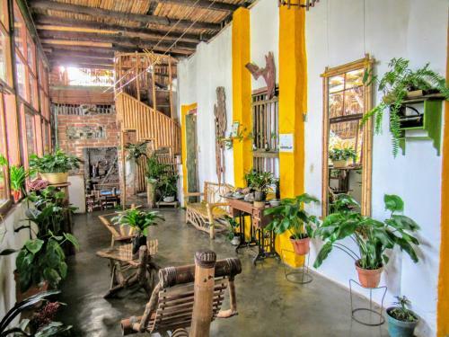 Villa Hotel Casa Tarzan