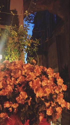 Bed & Breakfast Il Campanile