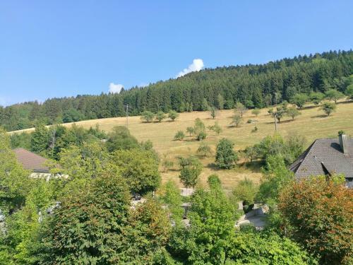 Hostal Pension Zur Rose