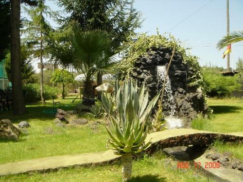 Bed & Breakfast Parco Delle Tre Fontane