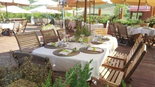 Agroturismo Agriturismo Il Timo