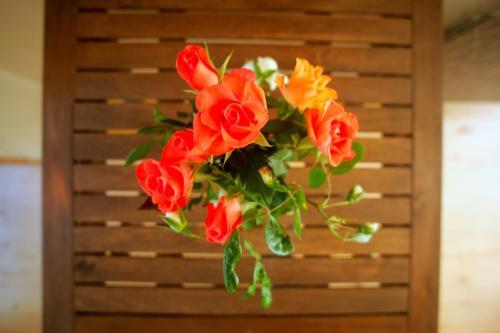 Bed & Breakfast Le Magasin � Sel