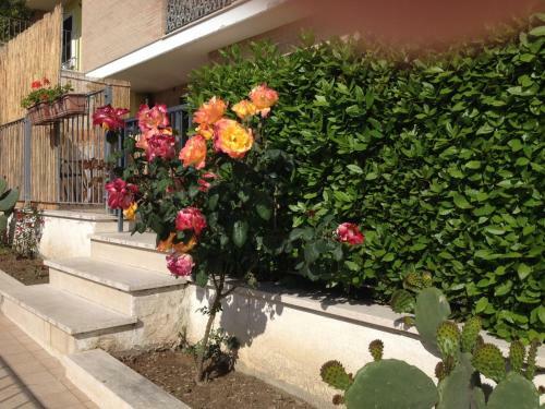 B&B Occhi Di Mare
