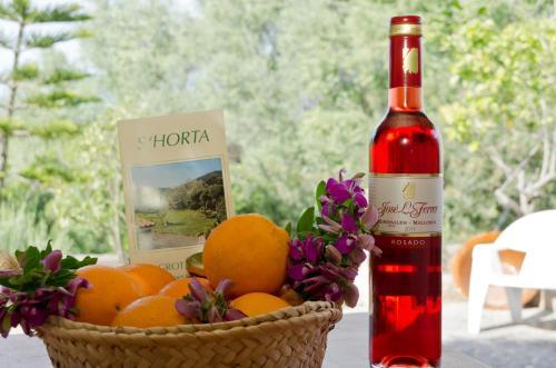 Agroturisme S' Horta