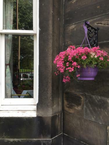 Bed & Breakfast Hermitage Guest House
