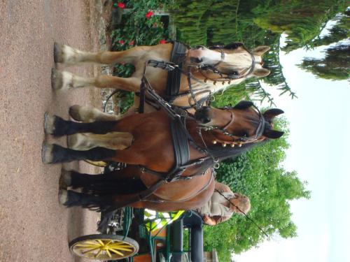 Bed & Breakfast Le Val D'omignon