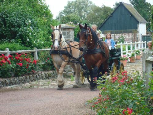 Bed & Breakfast Le Val D'omignon