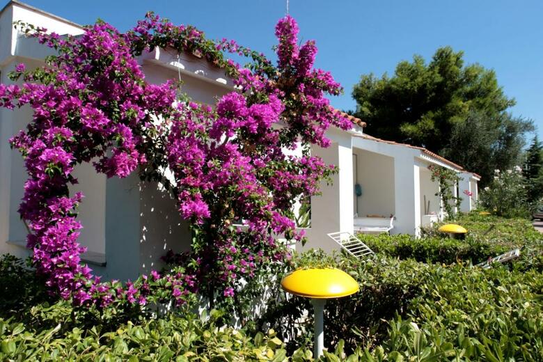 Aparthotel Residence Delfino