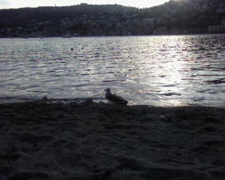 Apartamento Studette-bonbonni�re