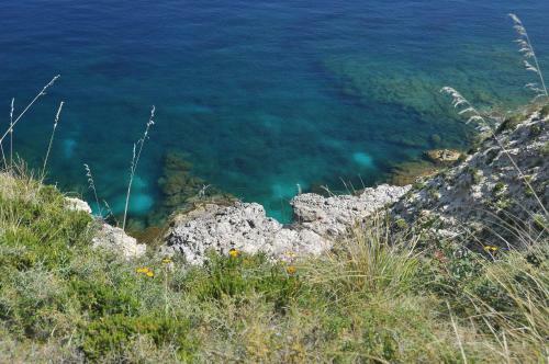 Case Vacanza Verdeblu