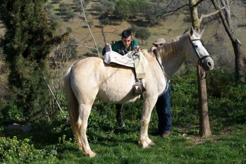 Agroturismo El Berrocal Alojamiento Rural