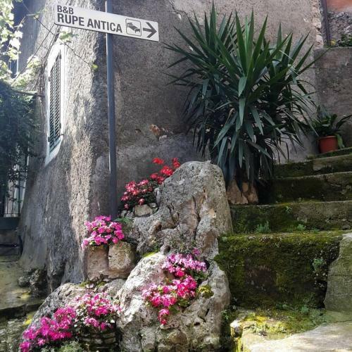Bed & Breakfast Rupe Antica