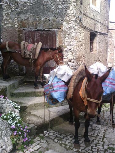 Bed & Breakfast Rupe Antica