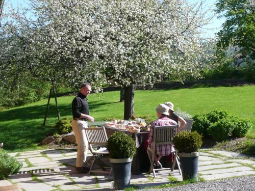Bed & Breakfast Chambre D'h�tes La Foresti�re