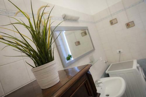 Apartamento Domus Liberta