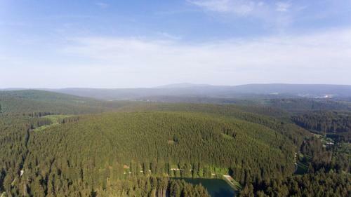 Wald - & Sporthotel Festenburg