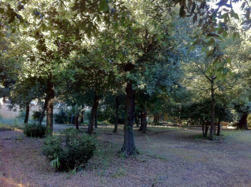 Agroturismo Villa Graziani
