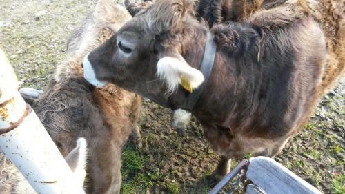 Agroturismo S�gerhof Bader