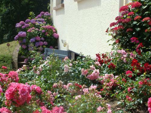 Bed & Breakfast Chambre D'h�tes Les Champarts