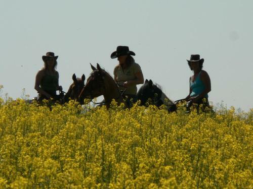 Agroturismo Triple Star Guest Ranch