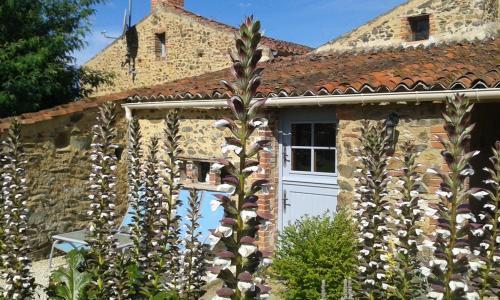 Bed & Breakfast Chambres D'h�tes Les Hautes Papini�res
