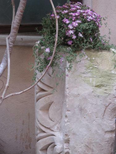 B&B Corte San Giuseppe 2