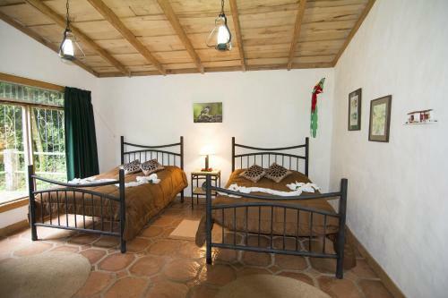 Lodge Bosque De Paz Reserva Biologica