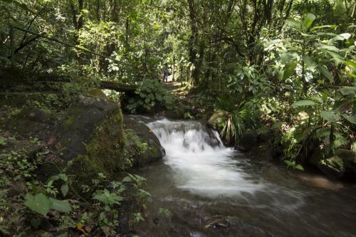 Lodge Bosque De Paz Reserva Biologica