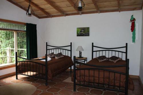 Lodge Bosque De Paz Reserva Biologica
