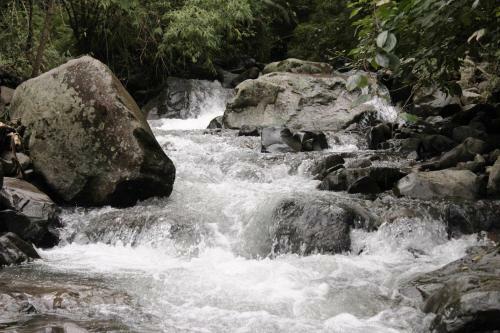 Lodge Bosque De Paz Reserva Biologica