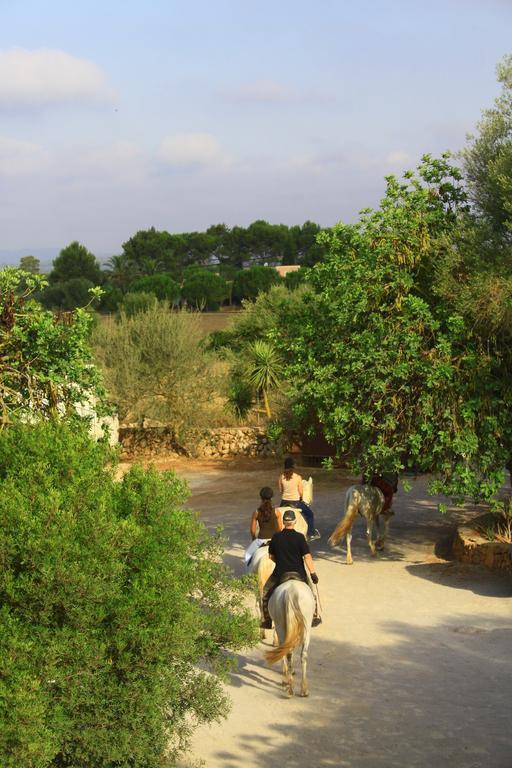 Agroturismo Son Menut