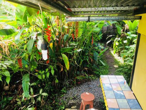 Albergue Caribbean Flavors Backpackers