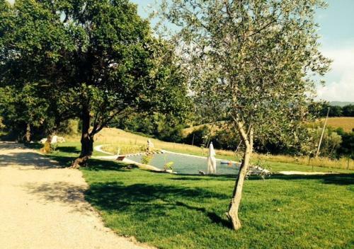 Bed & Breakfast Podere Del Buongustaio