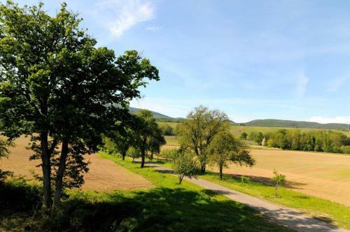 Bed & Breakfast L'h�te Antique