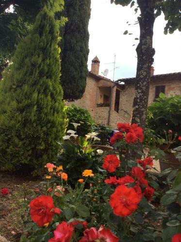 Agroturismo Podere Buriano