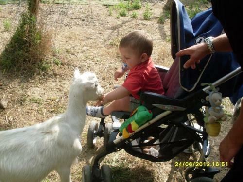 Agroturismo U' Cecere Agriturismo