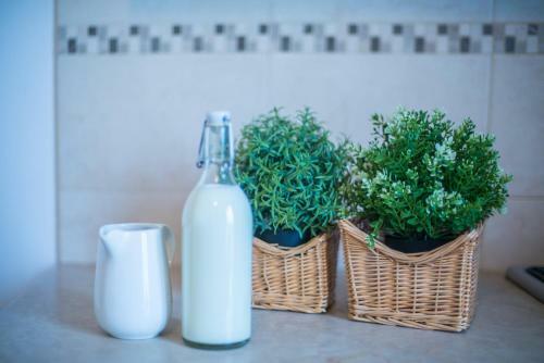 Hostal B&B Grottone