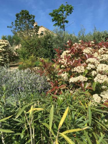 Agroturismo Relais Il Margarito