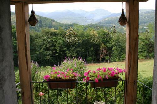Agroturismo L'ivogne B&B