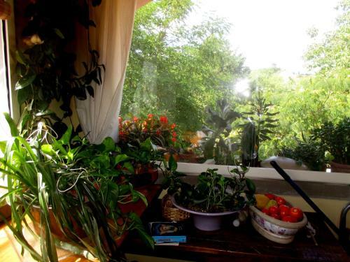 Hostal Affittacamere Damammasara