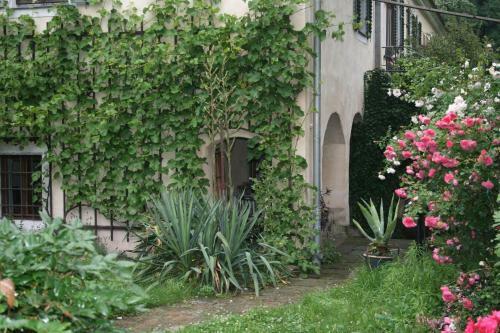 Apartamento Poncet�sches Herrenhaus