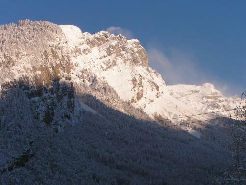 Chalet Narcisse