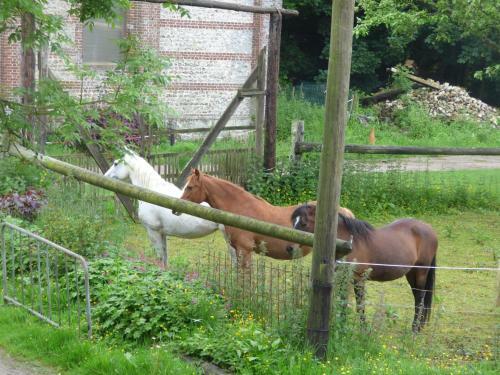 Agroturismo La Ferme Du Manoir Etretat