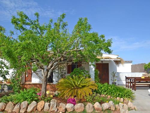 Villa Ca'n Niu