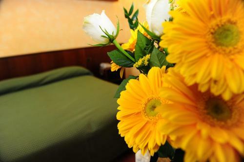 Agroturismo Il Carrettino Country Hotel